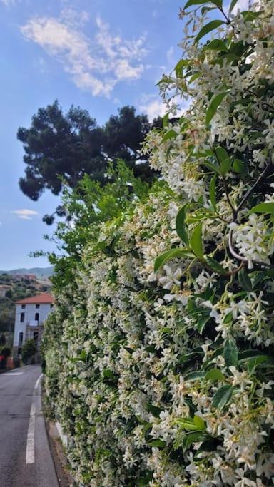 Apartmán Vista Bella House Sanremo Exteriér fotografie